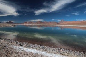 Bruno - Lagunes colorées du désert d'Atacama 1 (Chili)