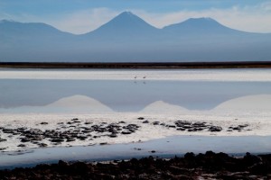 Bruno - Lagunes colorées du désert d'Atacama 2 (Chili)