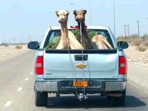 Myriam - On the road (Oman)